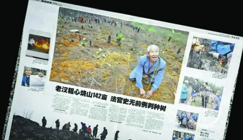 烧掉142亩山林后，老人用15年履行“史无前例”的判决