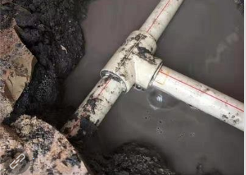 室外管道返水漏水造成业主损失，由谁承担赔偿责任？