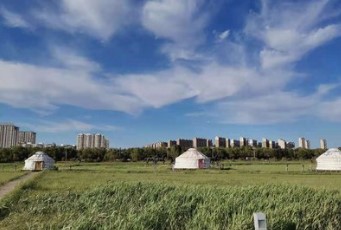 女婿、外孙子女不能分配征地款？