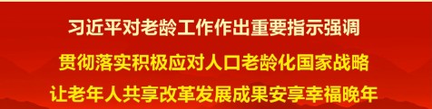 以深化系统改革重构老龄工作治理体系