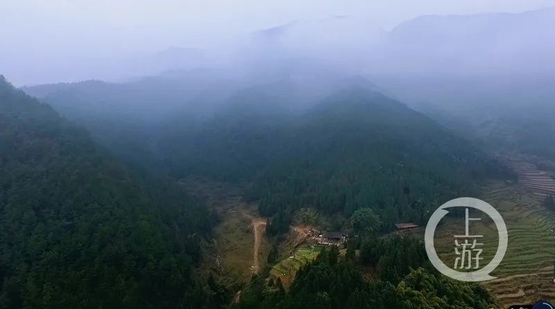 1647225606388408.jpg 2.jpg