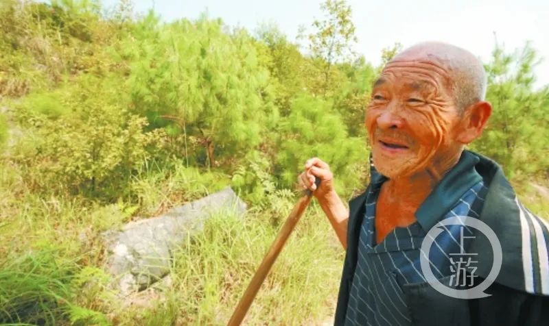 1647225619542165.jpg 3.jpg