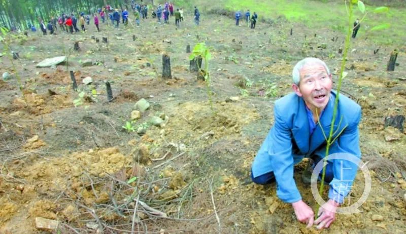 1647225689535573.jpg 5.jpg