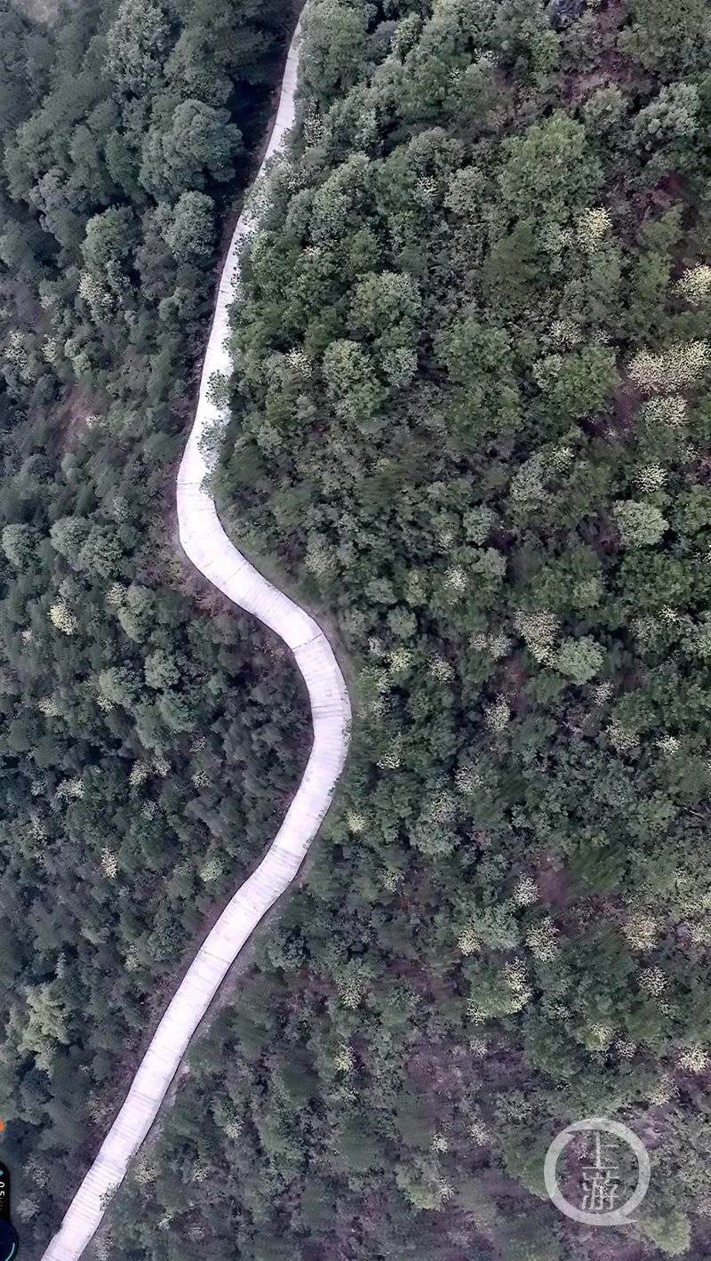 1647225718202859.jpg 7.jpg