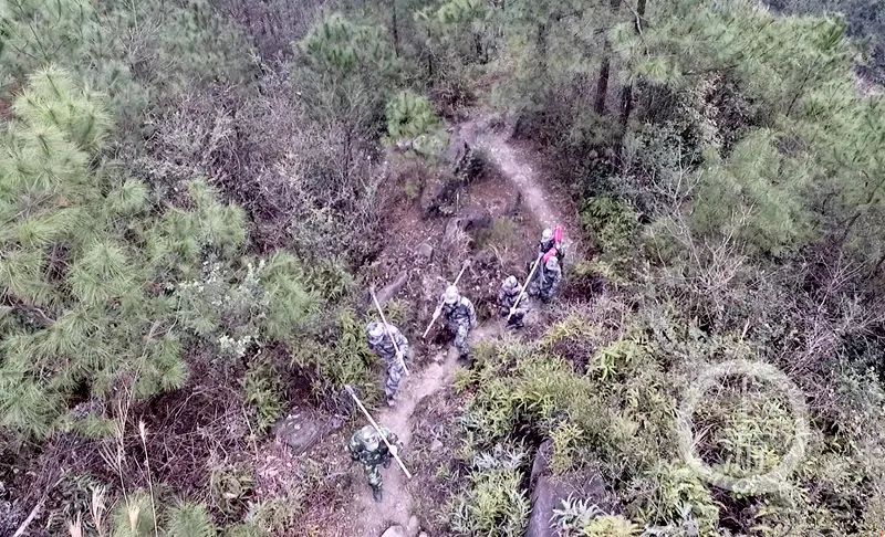 1647225733427474.jpg 8.jpg