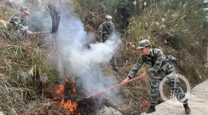 1647225906234072.jpg 13.jpg