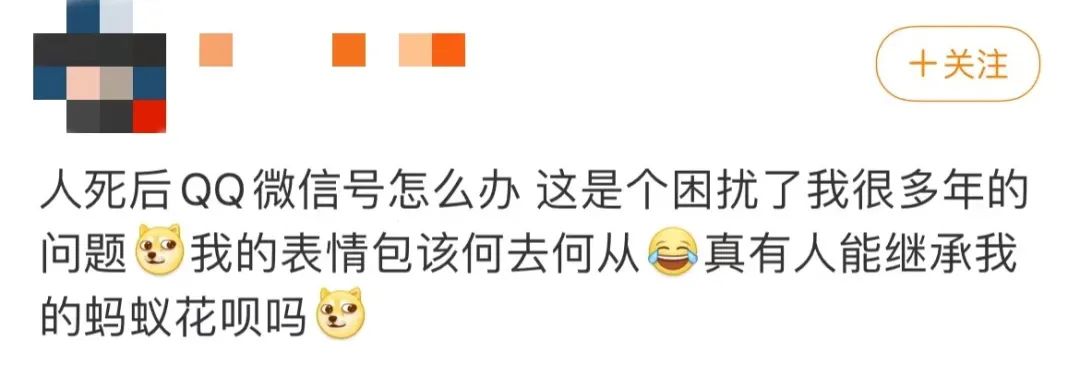 1649304004629430.jpg 01.jpg